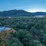 Kimba Villa Xiropigado