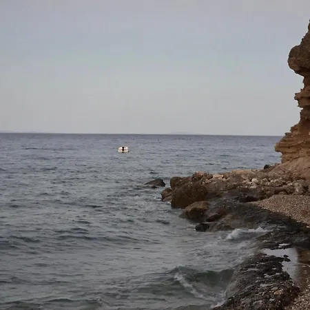 Kimba シロピカド