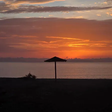 Kimba * シロピカド