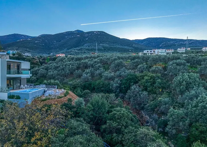 Kimba Villa Xiropígado